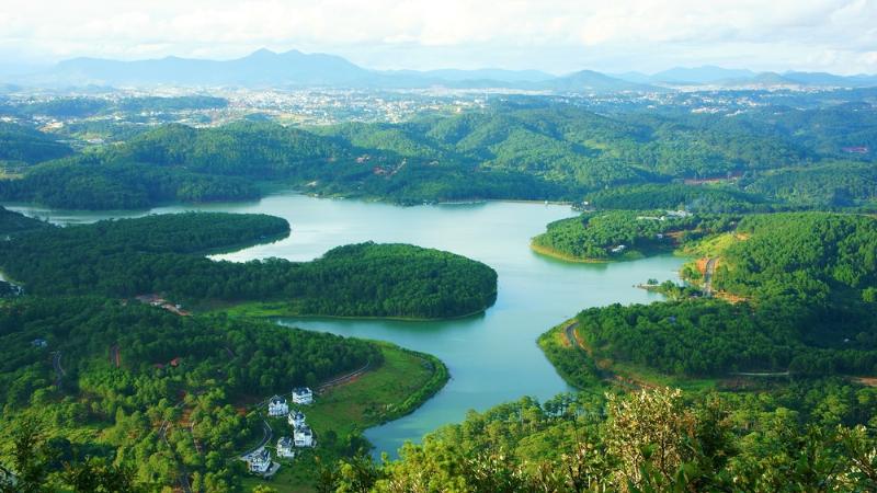 Ảnh minh họa cánh đồng hoa oải hương tím biếc ở Provence, Pháp, khung cảnh lãng mạn liên quan đến người sinh ngày 10 tháng 6 cung Song Tử và loài hoa biểu tượng của họ.